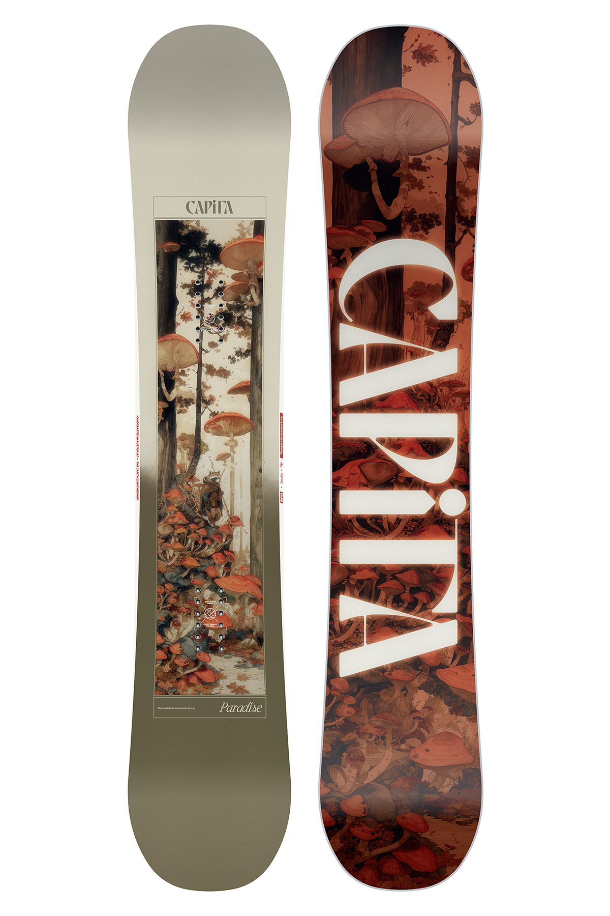 CAPITA PARADISE 25/26